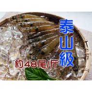 泰山級白蝦