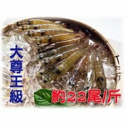 大尊王級白蝦