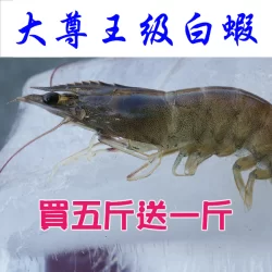 大尊王級白蝦五斤送一斤
