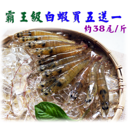 霸王級白蝦五斤送一斤