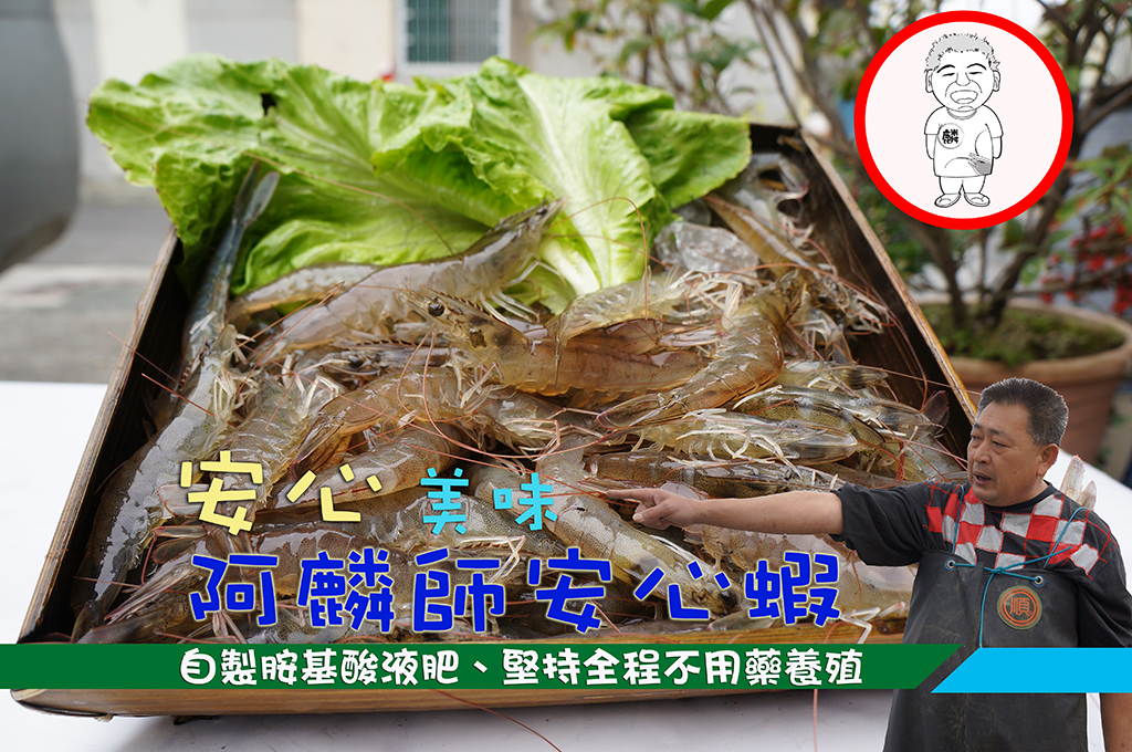 魚塭日常管理