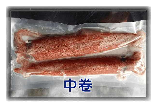 中卷(透抽)-500克