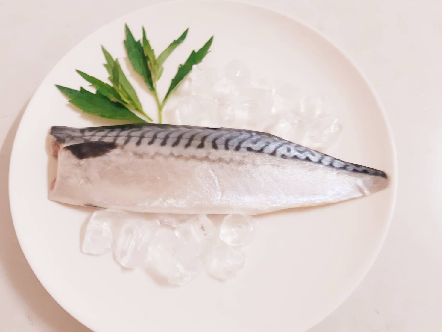 挪威鹽漬鯖魚片